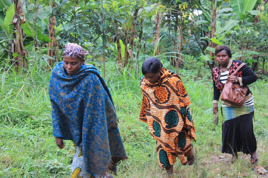 Tanzanie - Rencontre avec les Chaggas sur les flancs du Kilimandjaro