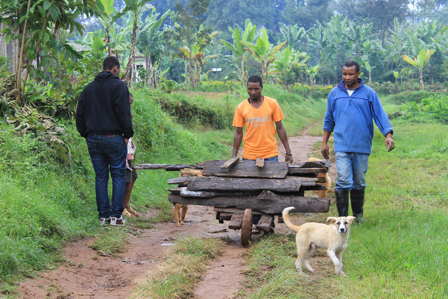 Tanzanie - Rencontre avec les Chaggas sur les flancs du Kilimandjaro