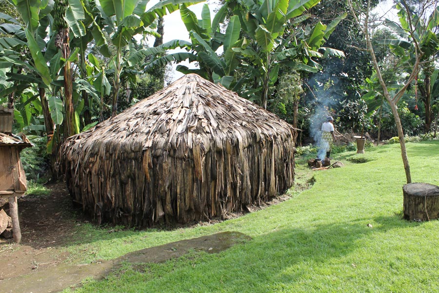 Tanzanie - Rencontre avec les Chaggas sur les flancs du Kilimandjaro