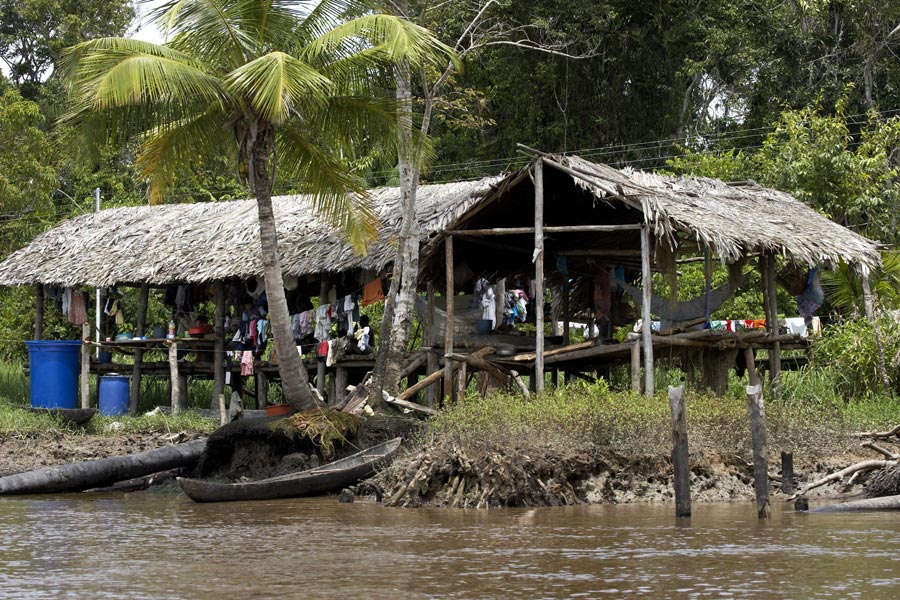 Venezuela - Delta de l’Orénoque, Retour aux Origines