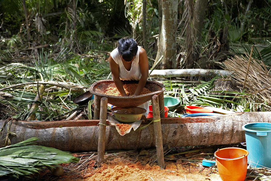 Venezuela - Delta de l’Orénoque, Retour aux Origines