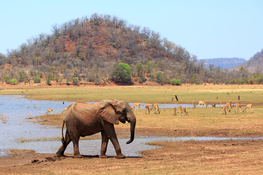 Zimbabwe - Triade de Parcs Nationaux au Zimbabwe