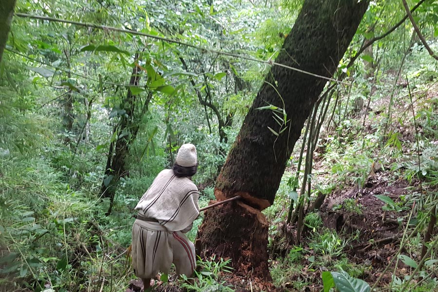 Colombie - A la rencontre des peuples de la Sierra Nevada