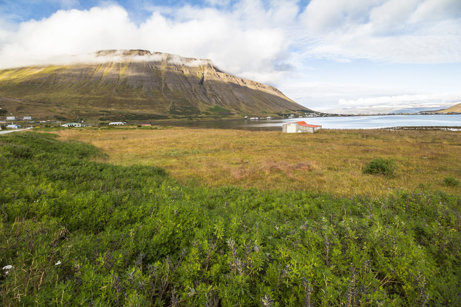 Islande - Croisière; une autre façon de découvrir la Terre de Glace