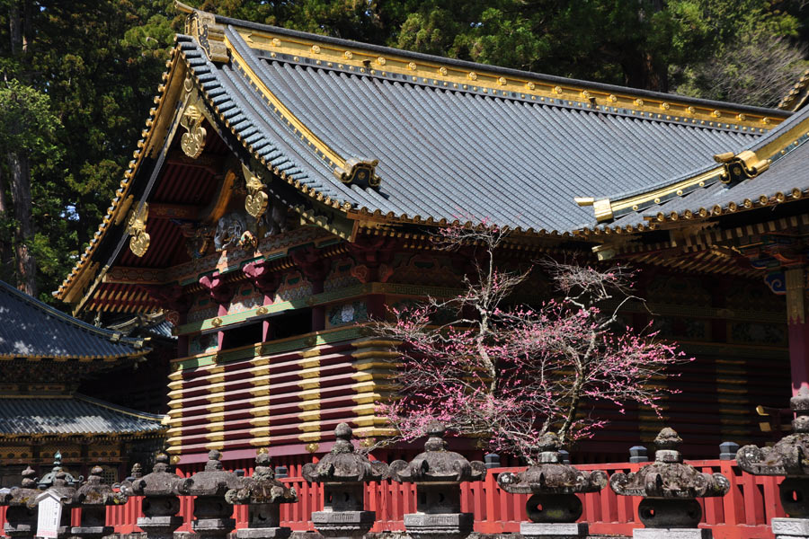 Japon - Nikko, un écrin de verdure aux portes de Tokyo