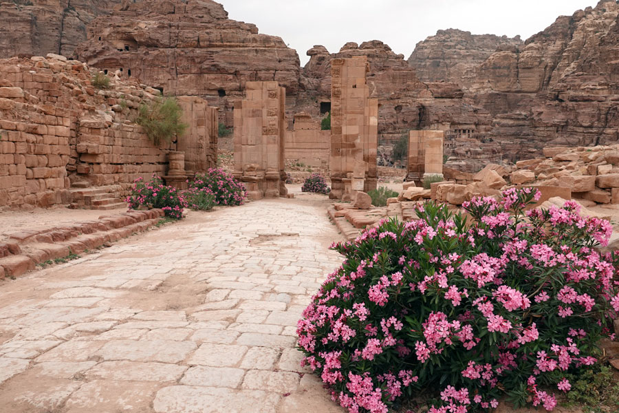 Jordanie - Sur les traces du passage des Romains