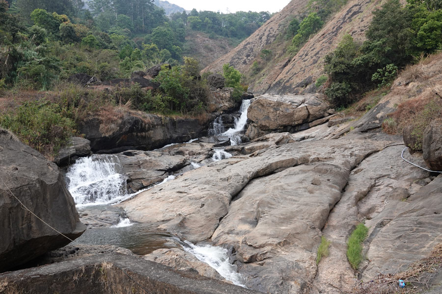 Inde - Au cœur des plantations de thé à Vagamon et Munnar