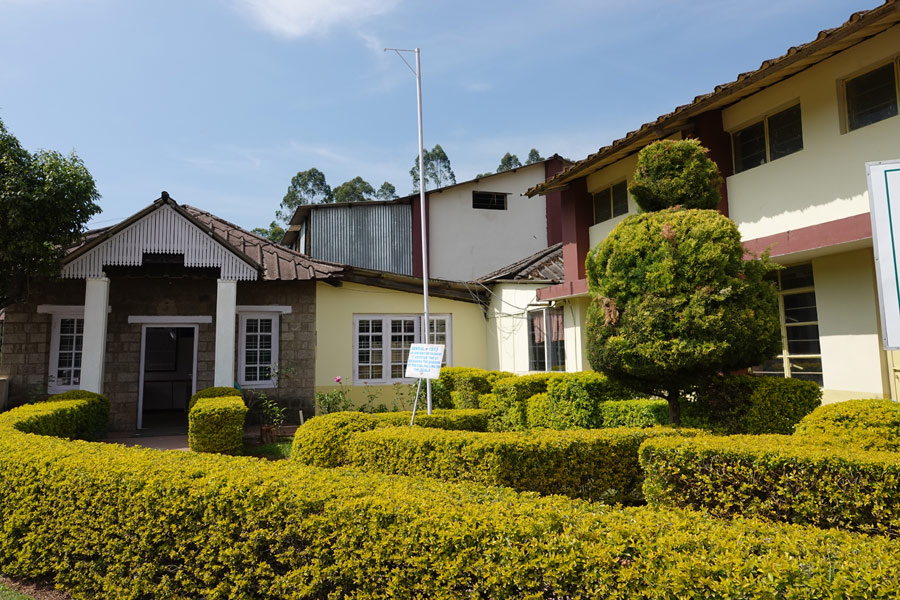 Inde - Au cœur des plantations de thé à Vagamon et Munnar