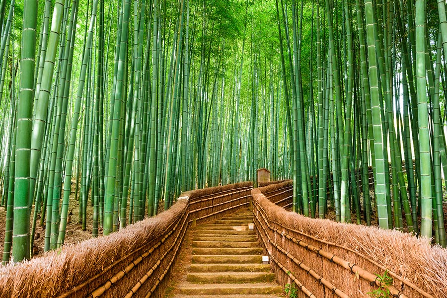 Japon - Kyoto, un concentré du Japon