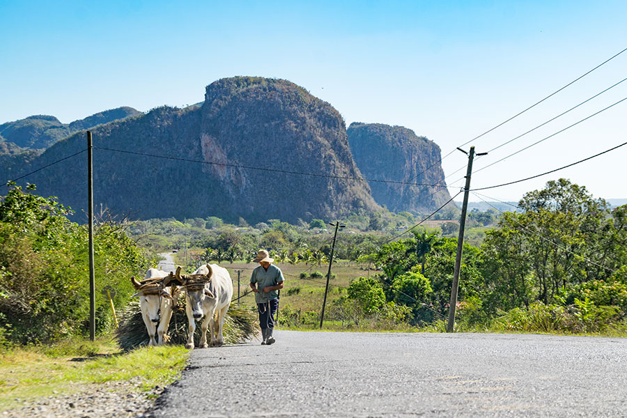 Cuba - Immersion rurale dans la Vallée de Viñales et à Pinar Del Rio