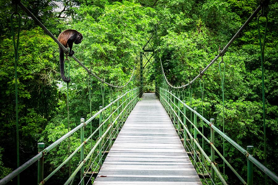 Costa Rica - Paradis de la Biodiversité