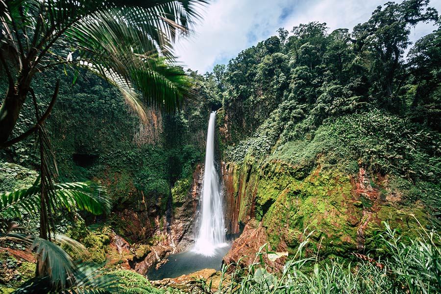 Costa Rica - Paradis de la Biodiversité
