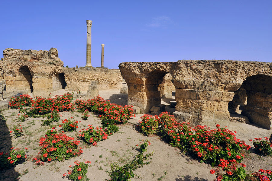 Tunisie - Les Ruines de Carthage