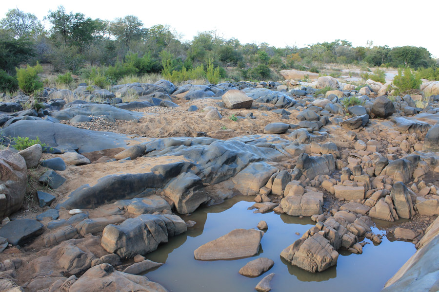 Afrique du Sud - Selati, la Véritable Wilderness Sud-Africaine