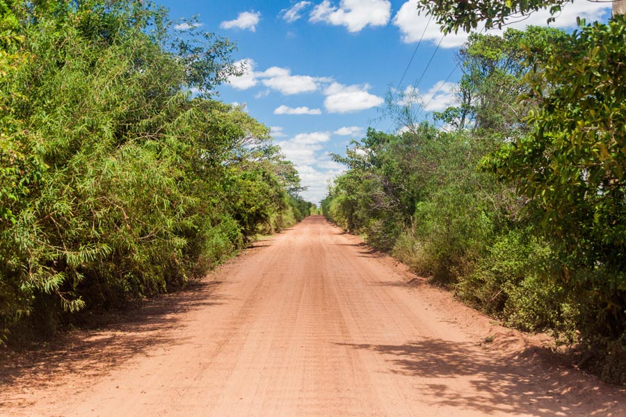 Argentine - Excursion aux Esteros del Ibera