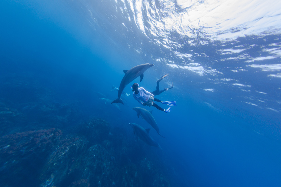 Bahamas - Un Univers Aquatique à Explorer en Liberté