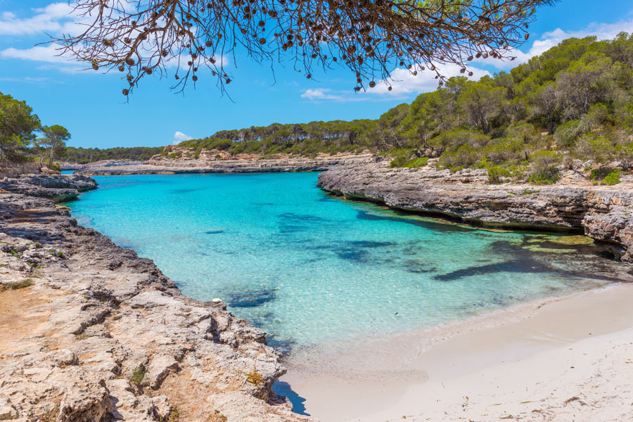 Majorque, Destination nature et culture de la Méditerranée