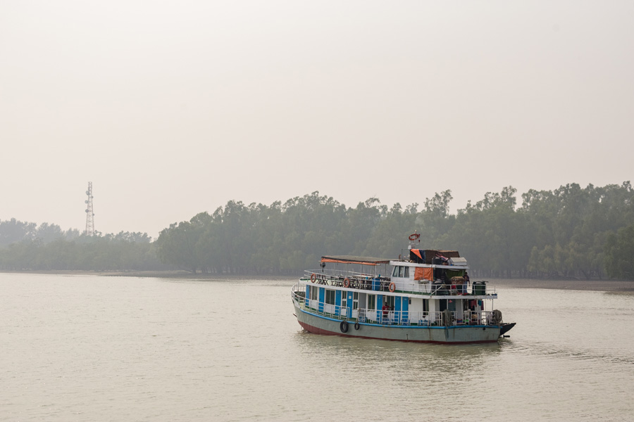 Bangladesh - La Forêt de Mangrove des Sundarbans