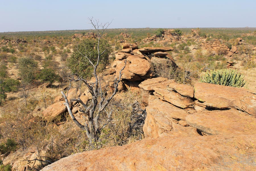 Botswana - Wild At Tuli