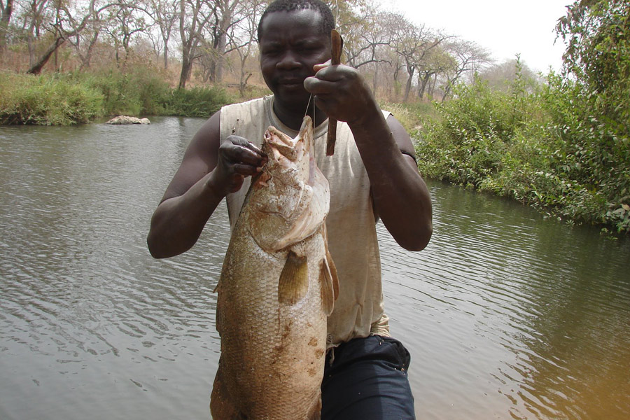 Cameroun - Pêche Sportive et Petits Hommes de la Forêt