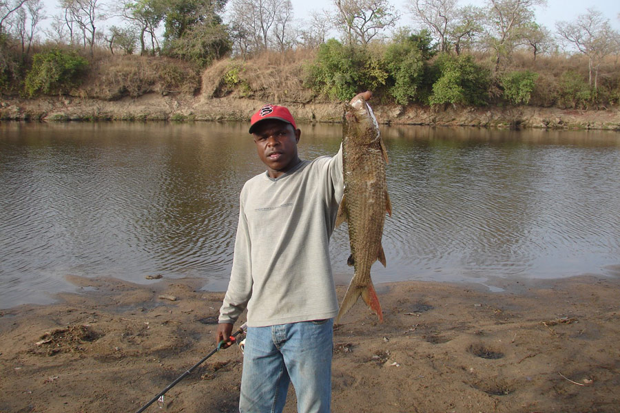 Cameroun - Pêche Sportive et Petits Hommes de la Forêt