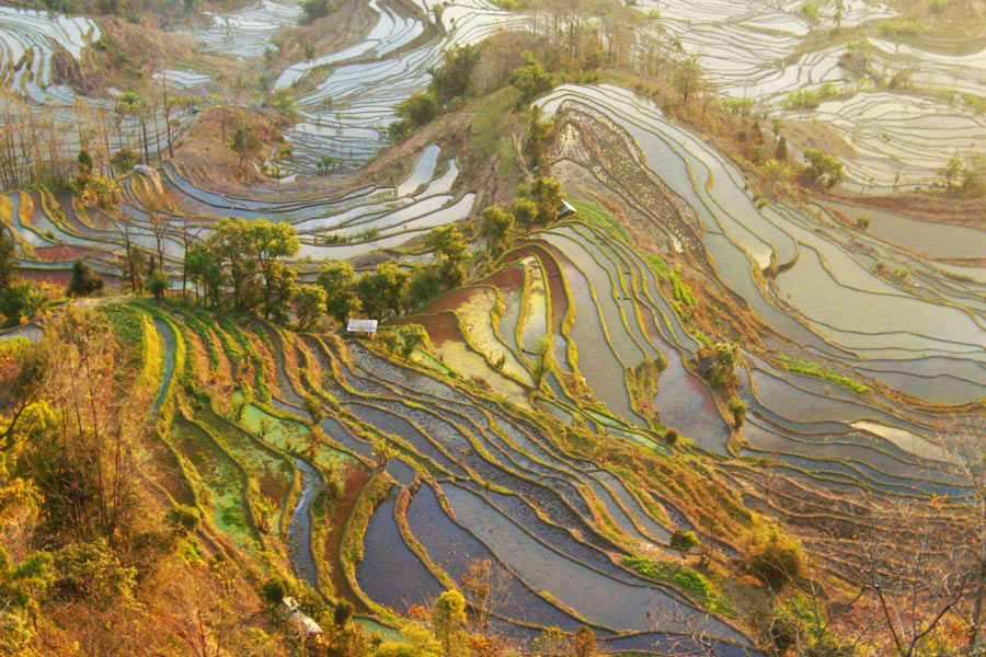 Chine - Les Rizières en Terrasses de Yuanyang