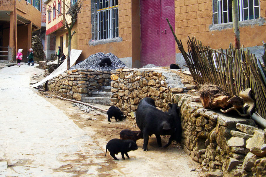 Chine - Les Rizières en Terrasses de Yuanyang