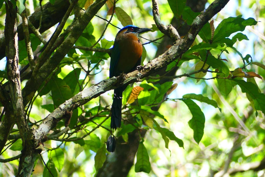 Costa Rica - Osez la Péninsule d’Osa