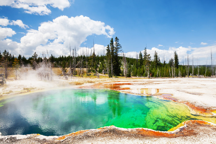 Etats-Unis - Yellowstone, un Concentré d'Ouest Américain