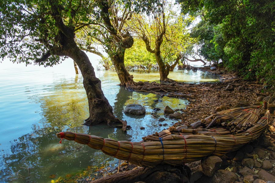 Ethiopie - Le lac Tana, aux Sources du Nil bleu