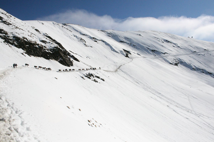 Géorgie - Une Transhumance Hors du Commun