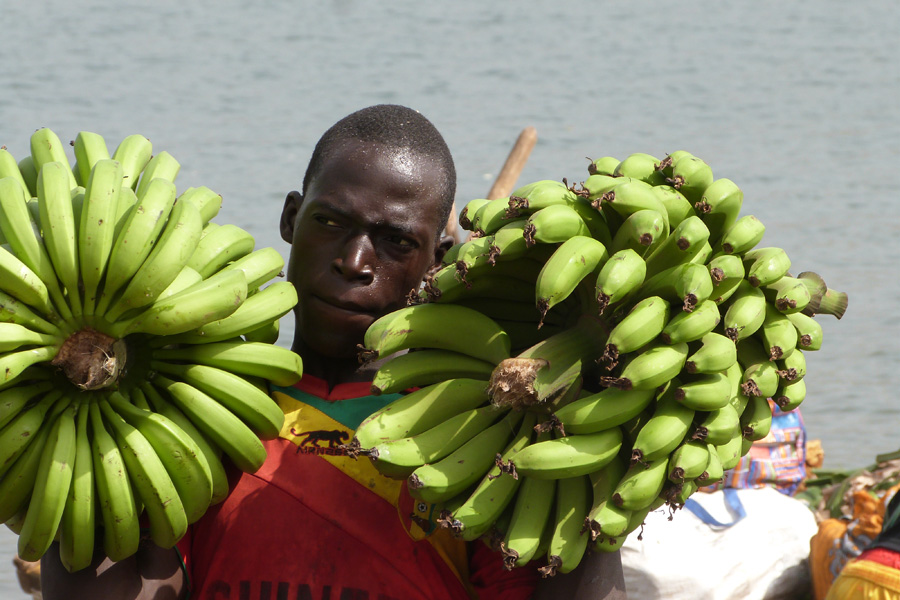 Guinée - Samaya, le Lac aux Mille Pattes