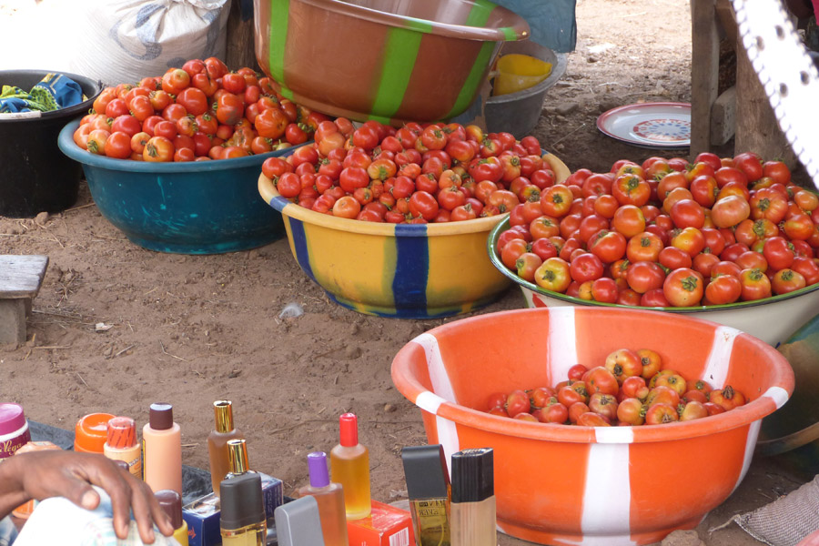 Guinée - Samaya, le Lac aux Mille Pattes