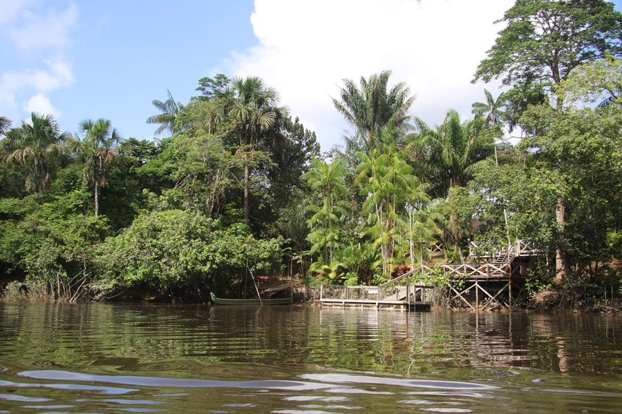 Guyane - Un Bout d’Amazonie en France