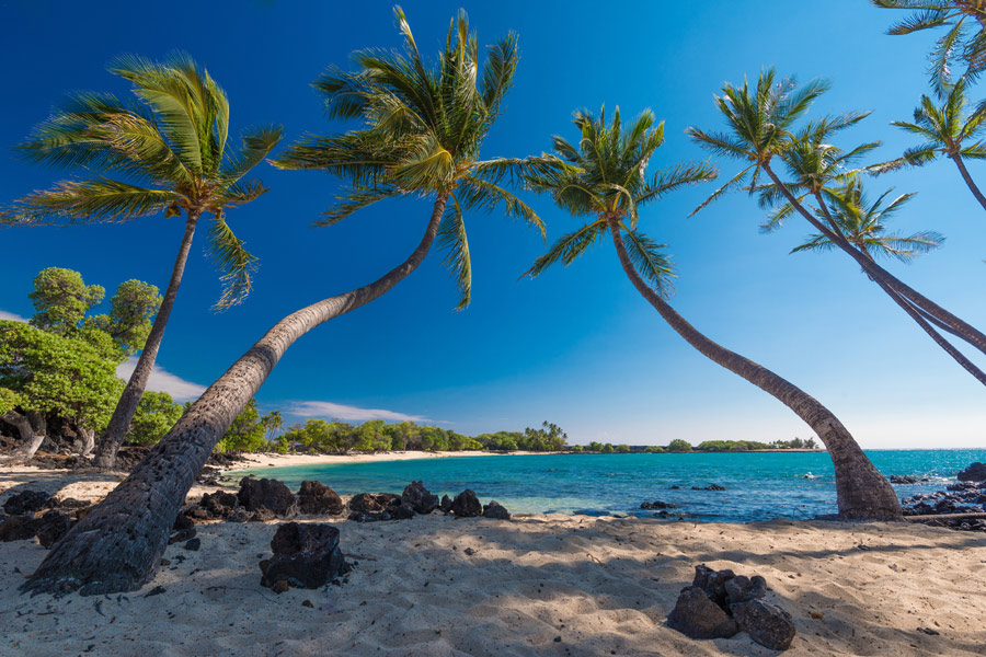 Hawaï - Terre Volcanique et Mer Emeraude