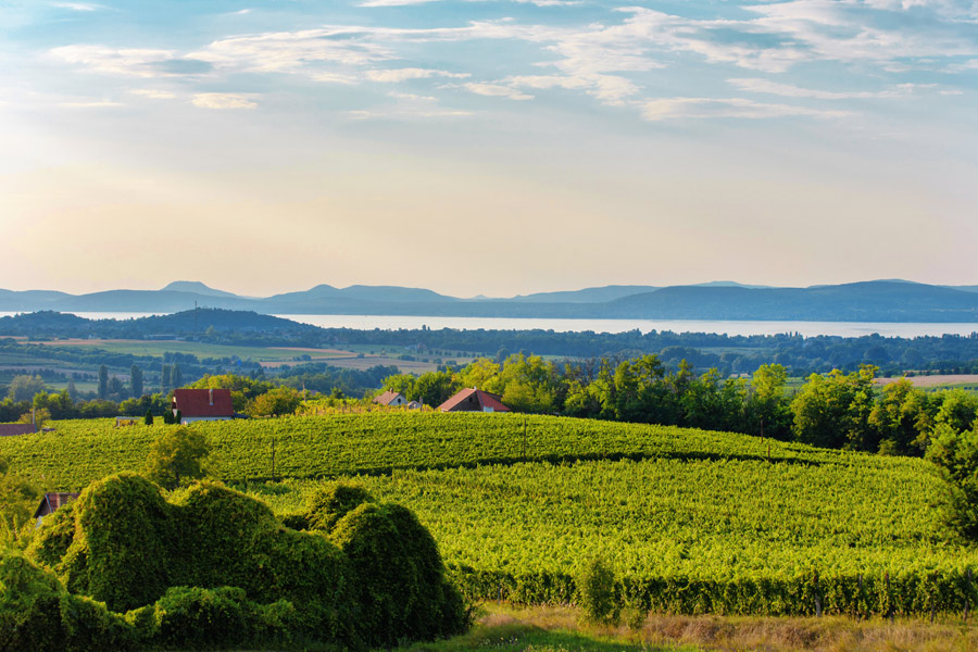 Hongrie - A la Découverte de la Région du Lac Balaton