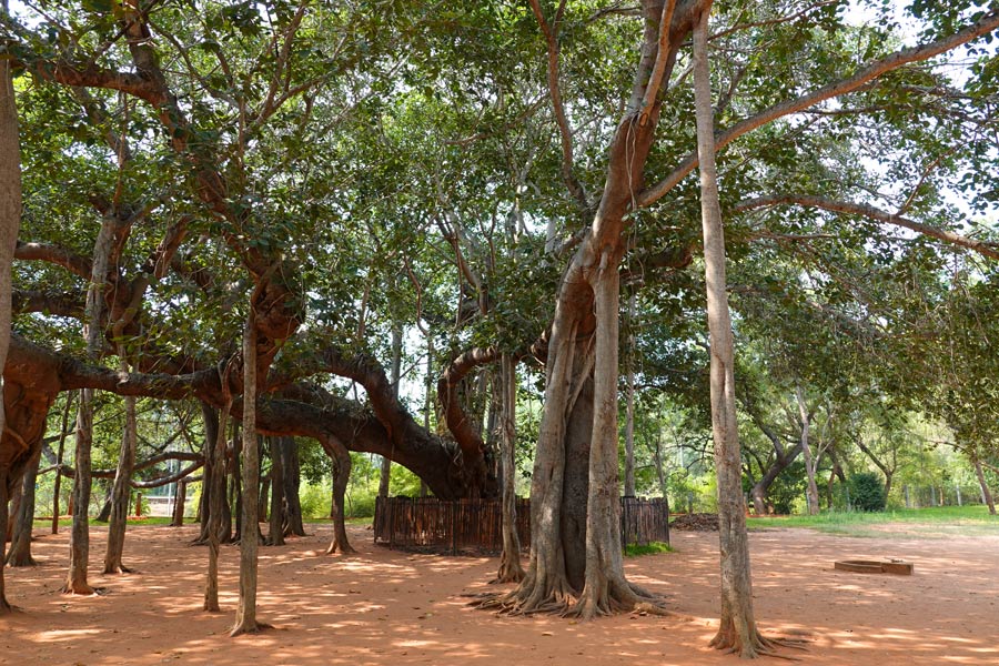 Inde - Pondichéry, un petit coin de France au cœur de l'Inde