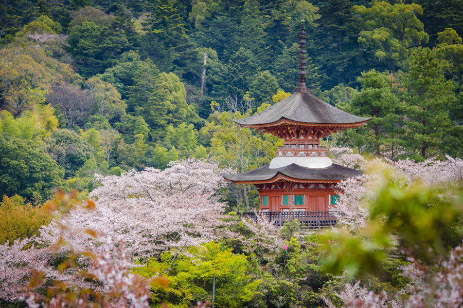 L'île de Miyajima, le Trésor Shintô du Japon