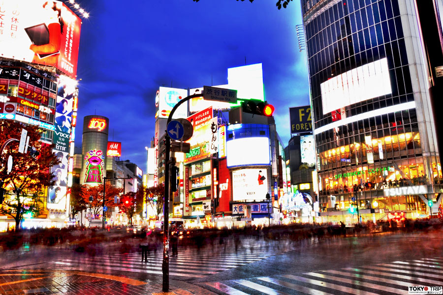 Japon - Tokyo, La Plus Grande Agglomération du Monde