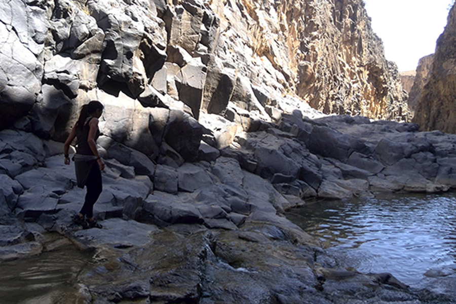 Jordanie - Balade au Gré des Wadis