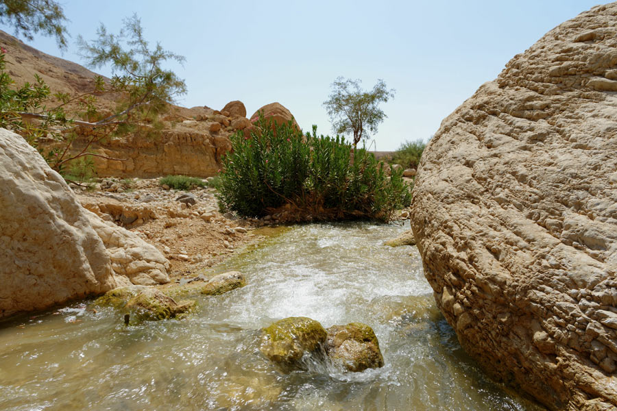 Jordanie - Balade au Gré des Wadis