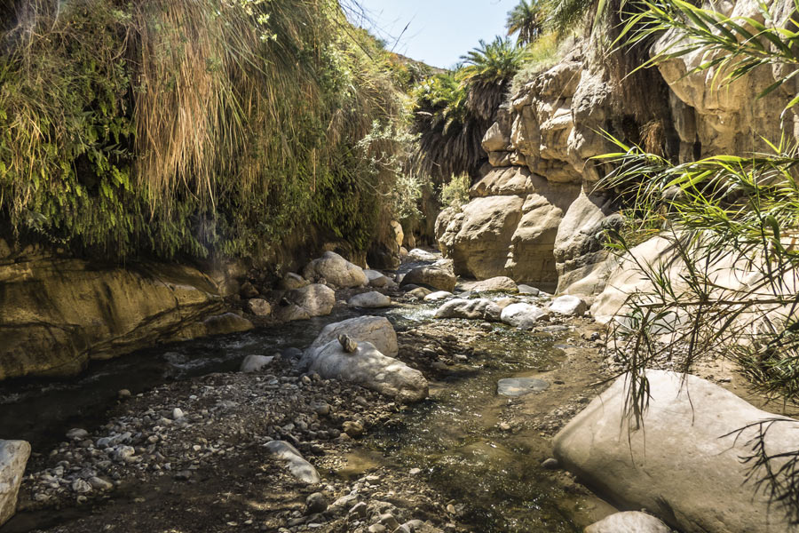 Jordanie - Balade au Gré des Wadis