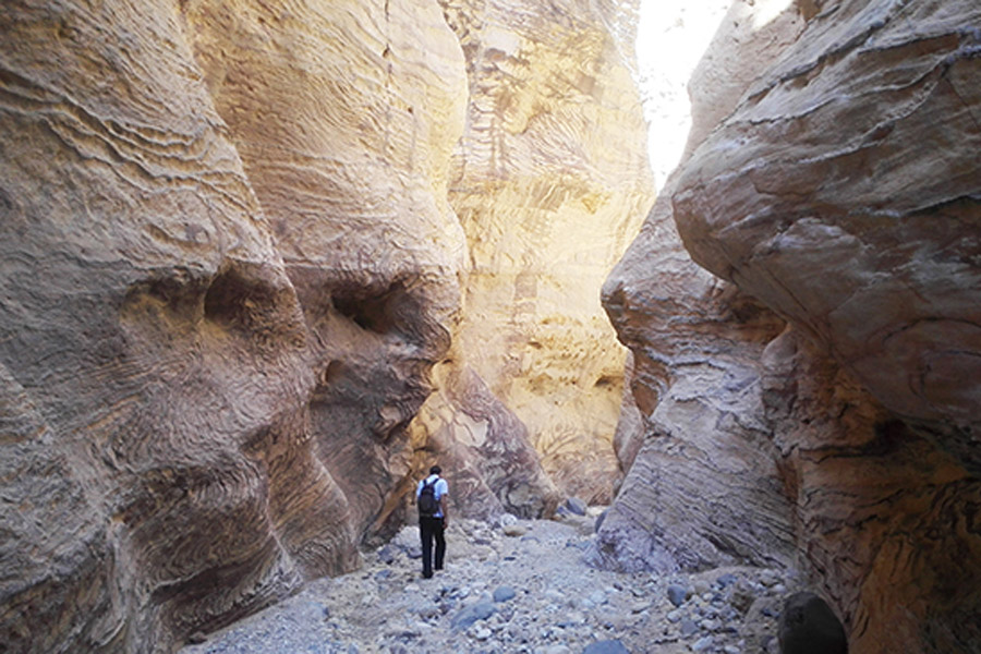 Jordanie - Balade au Gré des Wadis