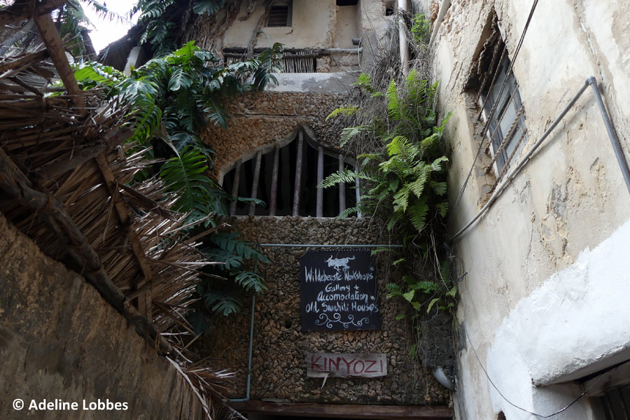 Kenya - Lamu, une Écrin dans l'Océan