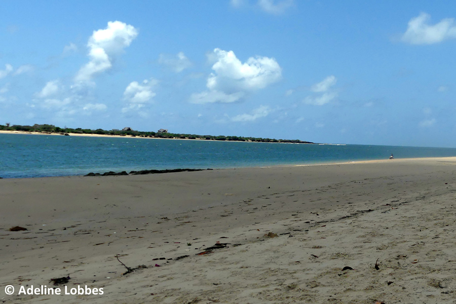 Kenya - Lamu, une Écrin dans l'Océan