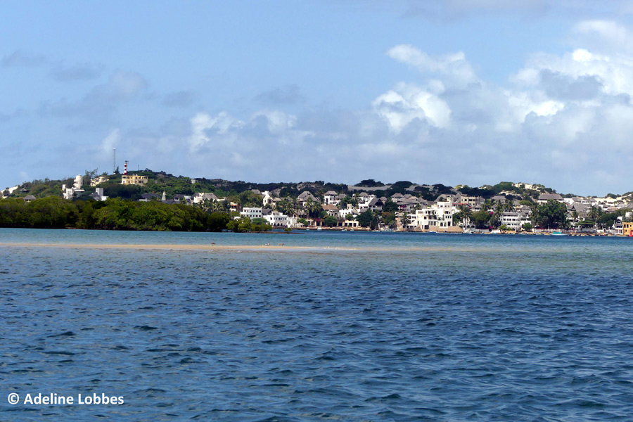 Kenya - Lamu, une Écrin dans l'Océan