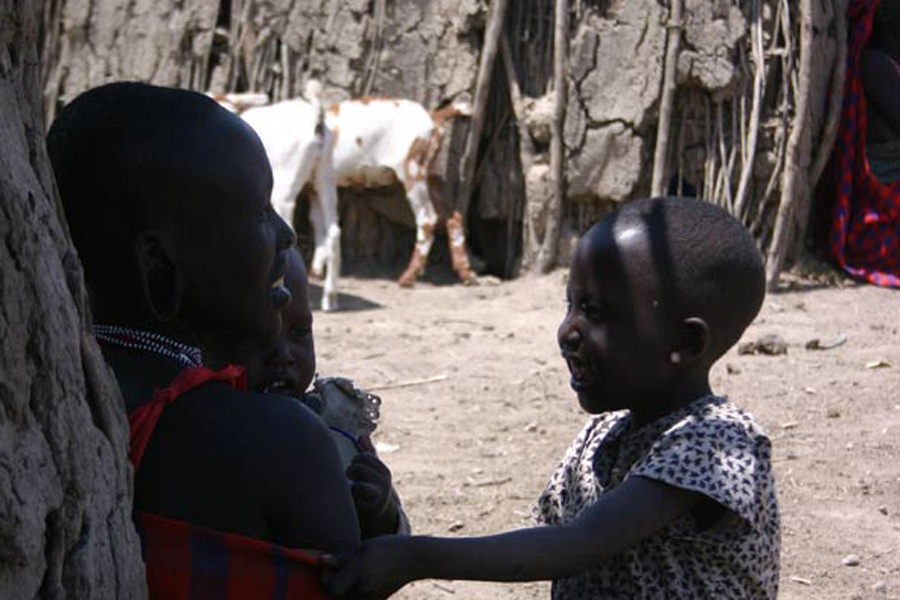 Kenya - Maasai Mara, Terre des Maasai et des Animaux Sauvages…