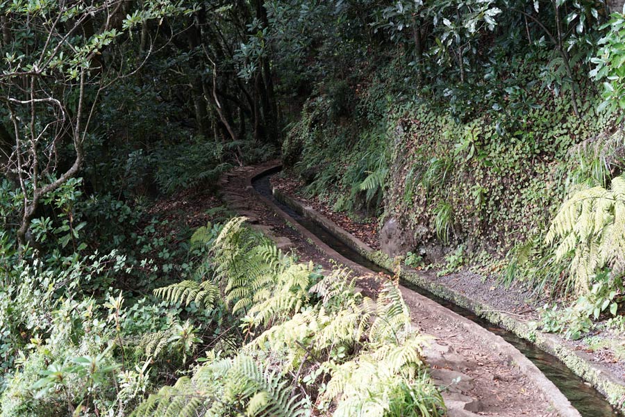 Madère - Madère, île nature entre mer et volcan