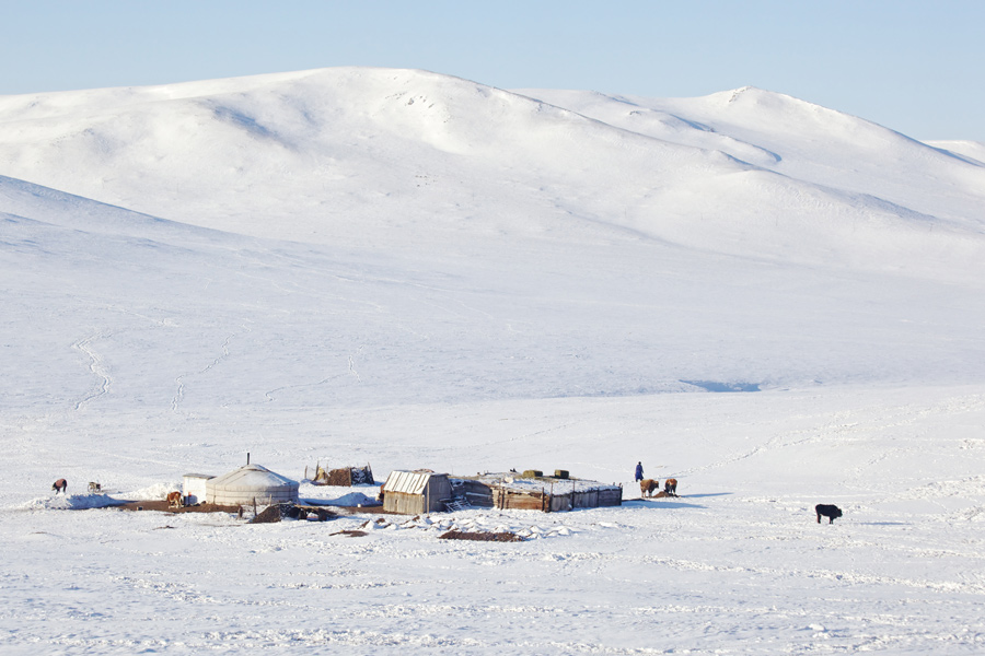 Mongolie - Hivernale en Mongolie….. Aventure en traineau à chiens