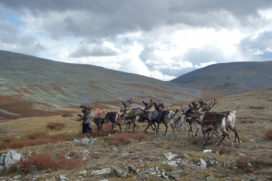 Mongolie - Khuvsgul, la Perle Bleue de la Mongolie